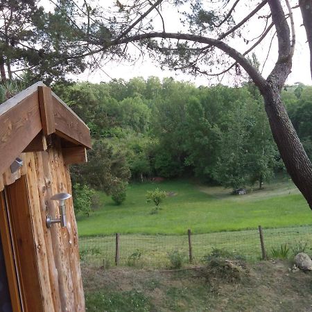 La Cabane En Bois Villemur-sur-Tarn المظهر الخارجي الصورة