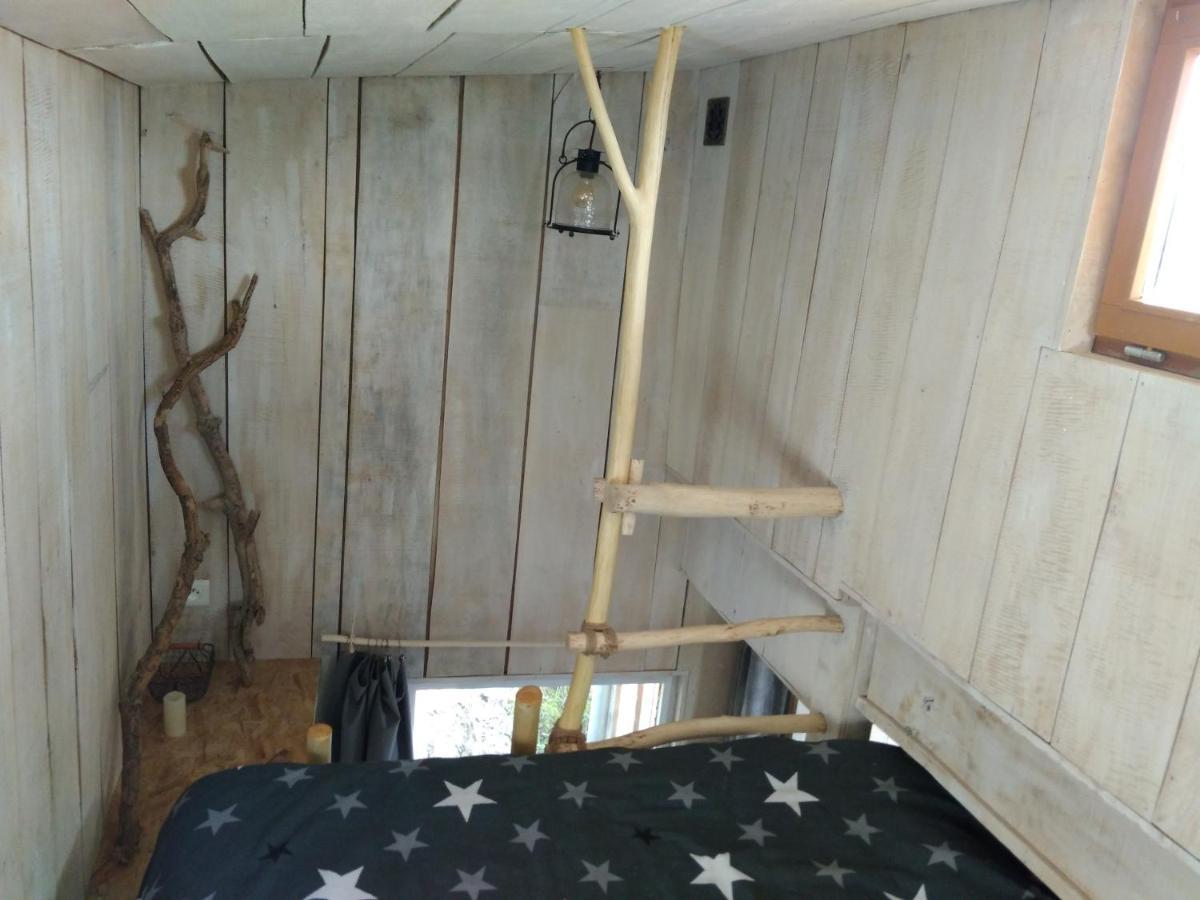La Cabane En Bois Villemur-sur-Tarn المظهر الخارجي الصورة
