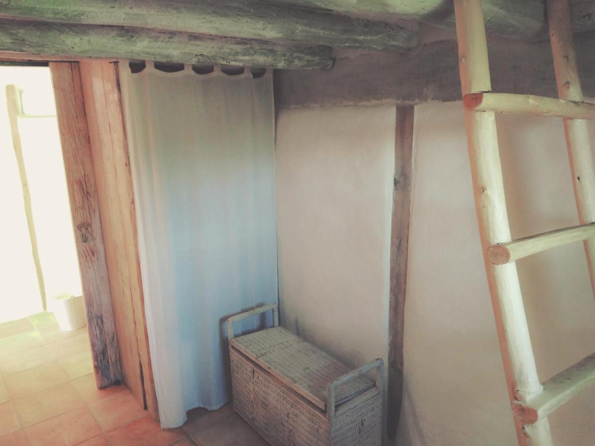 La Cabane En Bois Villemur-sur-Tarn المظهر الخارجي الصورة