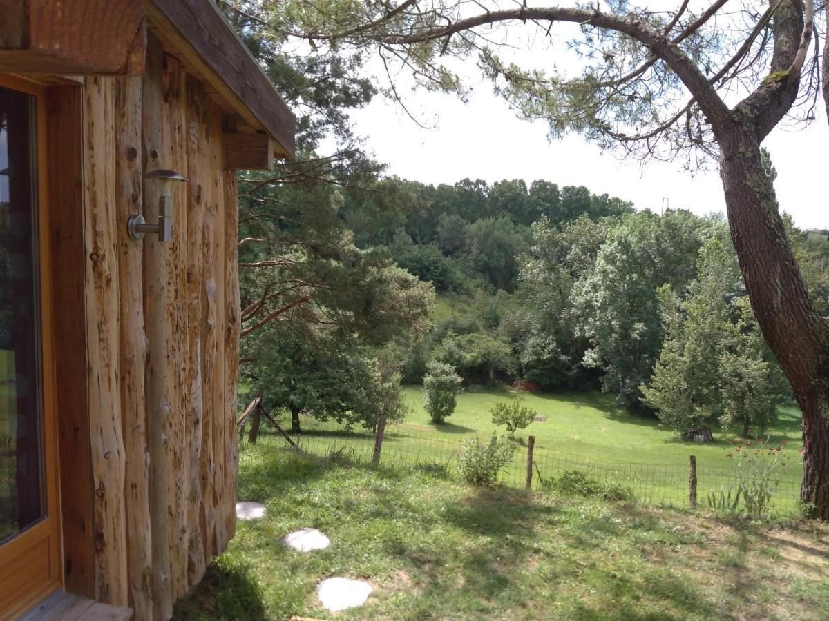 La Cabane En Bois Villemur-sur-Tarn المظهر الخارجي الصورة