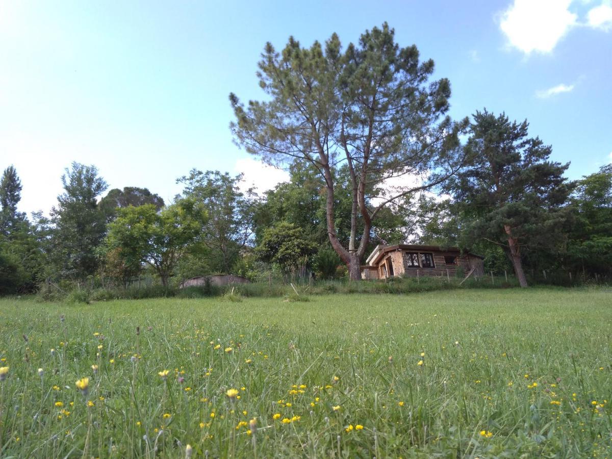 La Cabane En Bois Villemur-sur-Tarn المظهر الخارجي الصورة
