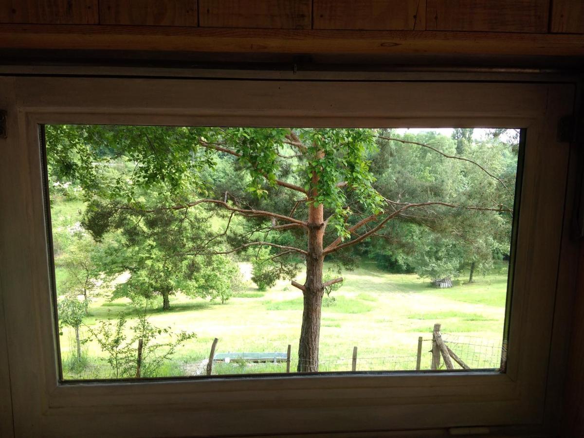 La Cabane En Bois Villemur-sur-Tarn المظهر الخارجي الصورة