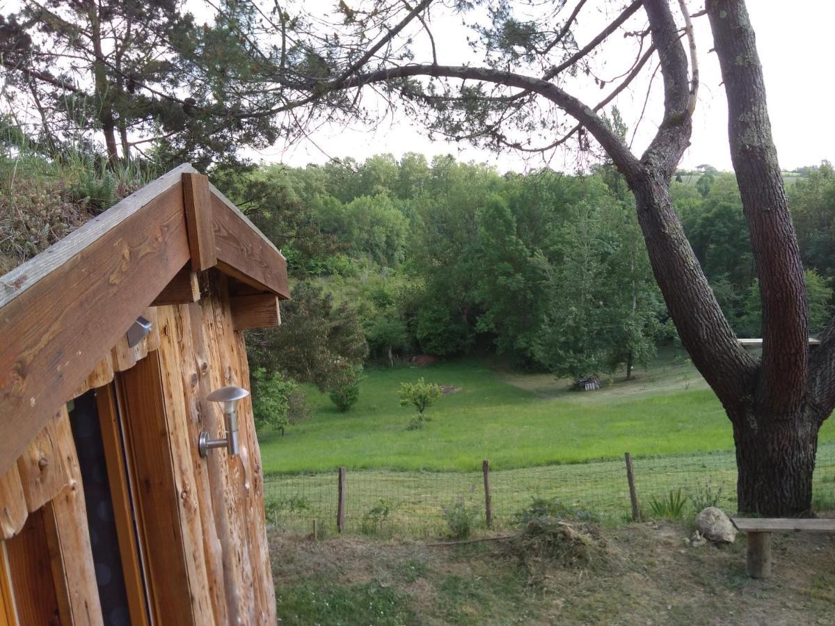 La Cabane En Bois Villemur-sur-Tarn المظهر الخارجي الصورة