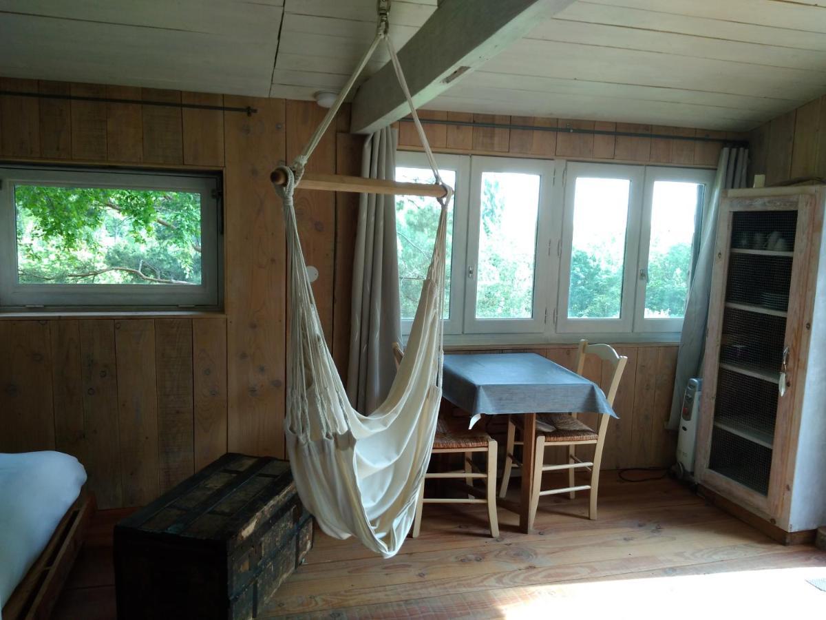La Cabane En Bois Villemur-sur-Tarn المظهر الخارجي الصورة
