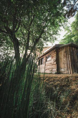 La Cabane En Bois Villemur-sur-Tarn المظهر الخارجي الصورة